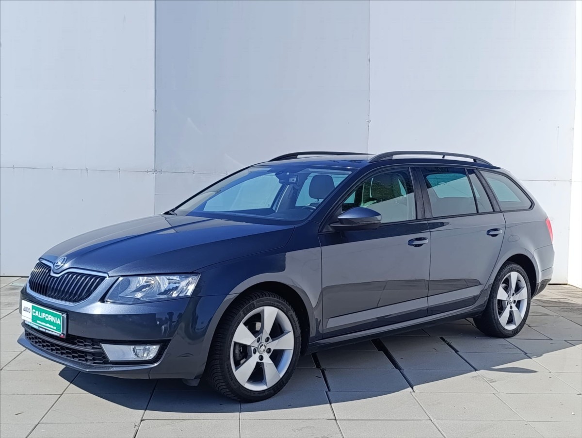 Škoda Octavia 1,6 TDi 4x4 Navi,Kůže,Aut.klima
